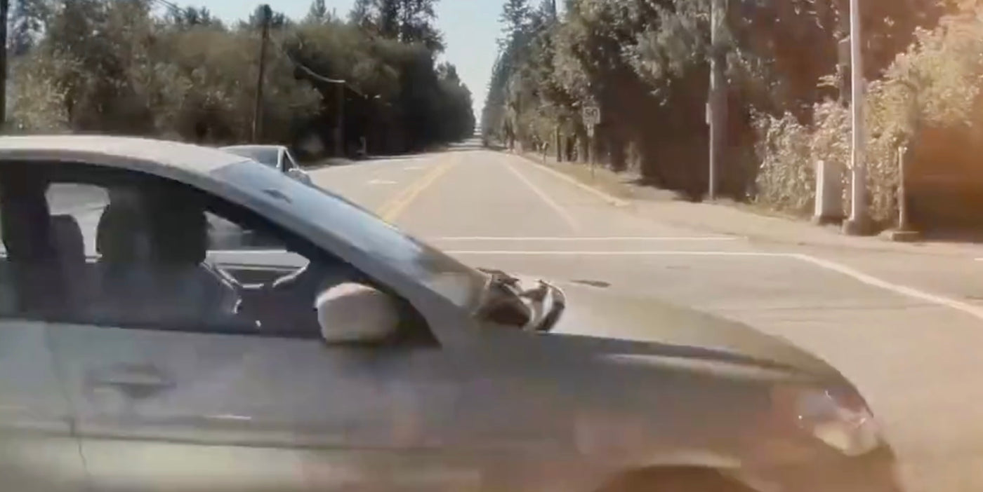 Tesla Model Y On FSD Saves Driver From High-Speed Crash